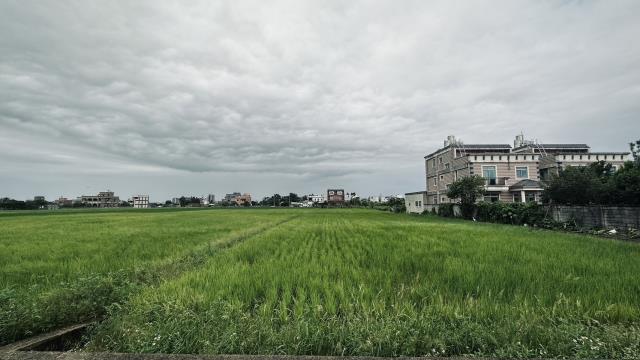 桃園中壢農地-7